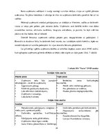 Diplomdarbs 'SIA "X" darbības analīze un attīstības perspektīvas uzņēmējdarbībā', 35.