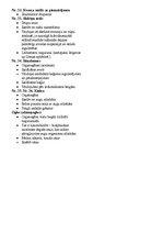 Konspekts 'Magmatiskie, metamorfie un nogulumu ieži', 6.