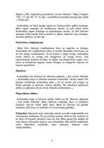 Prakses atskaite 'Aktīvā mācību un audzināšanas prakse pirmsskolas izglītības iestādē', 6.