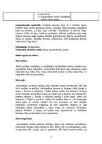 Prakses atskaite 'Aktīvā mācību un audzināšanas prakse pirmsskolas izglītības iestādē', 11.