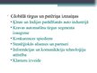 Prezentācija 'Autobūves nozare Mičiganas un Šanhajas reģionos', 10.