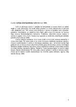 Eseja 'Latvijas ainavu kartēšana', 4.