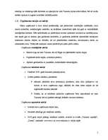 Biznesa plāns 'SIA "Alfrex"', 5.