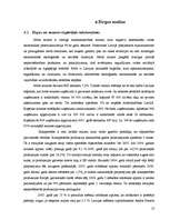 Biznesa plāns 'SIA "Alfrex"', 13.