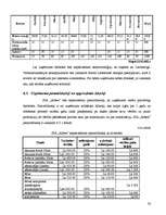 Biznesa plāns 'SIA "Alfrex"', 28.