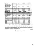 Biznesa plāns 'SIA "Alfrex"', 29.