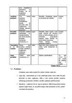 Biznesa plāns 'SIA "Alfrex"', 31.