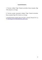 Referāts 'Inovāciju projektu jēdziens, būtība un stratēģija', 42.