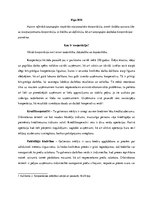 Referāts 'Starptautiskās kooperācijas formas un to izvēles nosacījumi', 2.