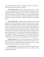 Referāts 'Starptautiskās kooperācijas formas un to izvēles nosacījumi', 4.