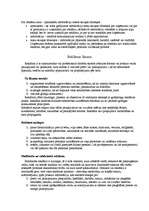 Konspekts 'Reklāma', 1.