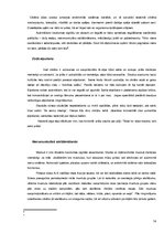 Referāts 'Stress', 14.