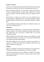Referāts 'Amatniecība un mājturība', 4.