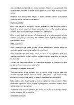 Referāts 'Amatniecība un mājturība', 7.