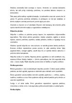 Referāts 'Amatniecība un mājturība', 8.