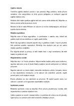Referāts 'Amatniecība un mājturība', 11.