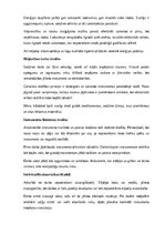 Referāts 'Amatniecība un mājturība', 13.