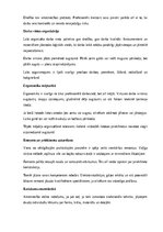 Referāts 'Amatniecība un mājturība', 14.