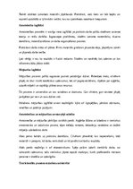 Referāts 'Amatniecība un mājturība', 17.
