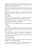 Referāts 'Amatniecība un mājturība', 18.