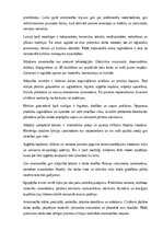 Referāts 'Amatniecība un mājturība', 22.