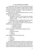 Referāts 'Mārketinga stratēģija būvniecības uzņēmumā SIA "RE&RE"', 17.