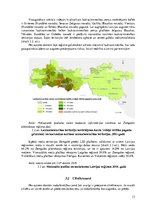 Referāts 'Nodarbinātība Zemgales reģionā', 13.