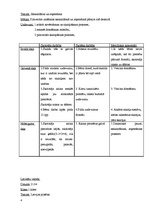 Konspekts 'Stundu konspekti 1.klasei', 4.