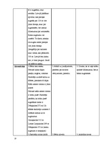 Konspekts 'Stundu konspekti 1.klasei', 19.