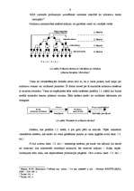 Referāts 'Noliktavu saimniecība', 9.