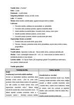 Konspekts 'Integrēta mācību stunda 2.klasei', 2.