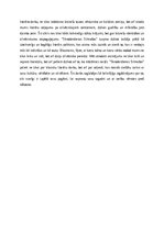 Eseja 'Domraksts Rūdolfs Blaumanis “Skroderdienas Silmačos”', 2.