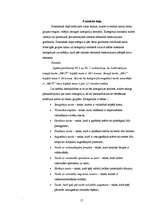 Referāts 'Pirmā pasaules kara tanki', 17.