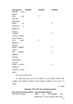 Referāts 'Projektu vadīšana bezglutēna kafejnīcas saimnieciskās darbības uzsākšanai', 26.