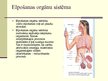 Prezentācija 'Cilvēka organisma uzbūve, organisma funkciju regulētājsistēmas un imūnsistēma', 4.
