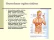Prezentācija 'Cilvēka organisma uzbūve, organisma funkciju regulētājsistēmas un imūnsistēma', 5.