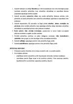 Diplomdarbs 'Sadzīves vides pārvaldība Rīgas pašvaldībā', 13.