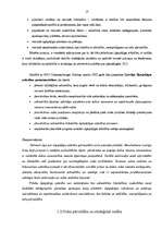 Diplomdarbs 'Sadzīves vides pārvaldība Rīgas pašvaldībā', 17.