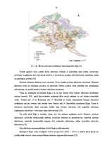 Diplomdarbs 'Sadzīves vides pārvaldība Rīgas pašvaldībā', 58.