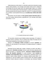 Diplomdarbs 'Sadzīves vides pārvaldība Rīgas pašvaldībā', 104.