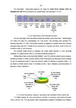 Diplomdarbs 'Sadzīves vides pārvaldība Rīgas pašvaldībā', 109.