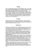 Konspekts 'Islande', 2.