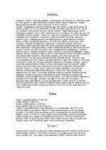 Konspekts 'Islande', 3.