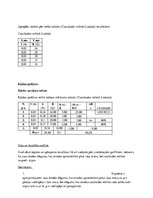 Paraugs 'Diodes pētīšana', 6.