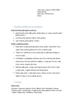 Konspekts 'Arhitektūras projektēšanas pamatkurss - eksāmena jautājumi', 8.