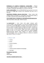 Konspekts 'Arhitektūras projektēšanas pamatkurss - eksāmena jautājumi', 12.