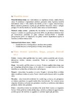 Konspekts 'Arhitektūras projektēšanas pamatkurss - eksāmena jautājumi', 38.