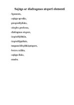 Konspekts 'Sajūgs', 11.