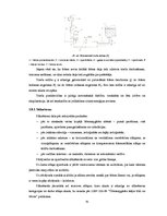 Diplomdarbs 'Ūdensapgādes tīklu ierīkošana mazapdzīvotā teritorijā', 36.