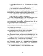 Diplomdarbs 'Ūdensapgādes tīklu ierīkošana mazapdzīvotā teritorijā', 40.